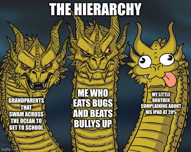 Three-headed Dragon | THE HIERARCHY; ME WHO EATS BUGS AND BEATS BULLYS UP; MY LITTLE BROTHER COMPLAINING ABOUT HIS IPAD AT 20%; GRANDPARENTS THAT SWAM ACROSS THE OCEAN TO GET TO SCHOOL | image tagged in three-headed dragon | made w/ Imgflip meme maker