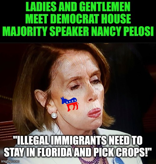 Democrats, you need to read the Constitution instead of Karl Marx. Specifically the 13th Admendment. Slavery was abolished. | LADIES AND GENTLEMEN MEET DEMOCRAT HOUSE MAJORITY SPEAKER NANCY PELOSI; "ILLEGAL IMMIGRANTS NEED TO STAY IN FLORIDA AND PICK CROPS!" | image tagged in nancy pelosi pb sandwich,slavery,liberal hypocrisy,abuse,illegal immigration,something's wrong i can feel it | made w/ Imgflip meme maker