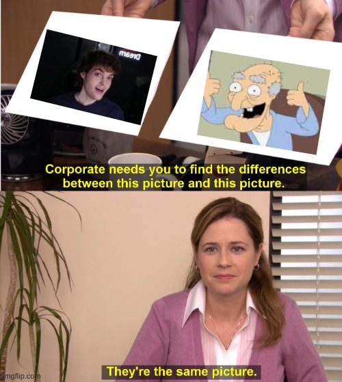 They are definetly the same picture | image tagged in memes,they're the same picture | made w/ Imgflip meme maker