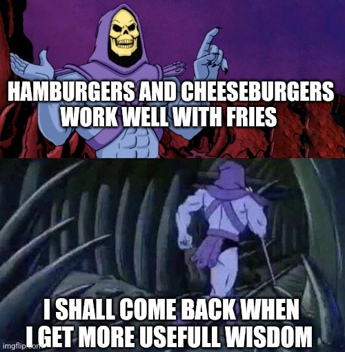 Big wisdom | HAMBURGERS AND CHEESEBURGERS WORK WELL WITH FRIES; I SHALL COME BACK WHEN I GET MORE USEFULL WISDOM | image tagged in he man skeleton advices | made w/ Imgflip meme maker
