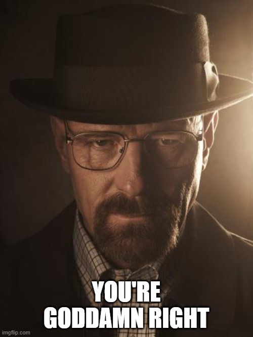 Walter White | YOU'RE GODDAMN RIGHT | image tagged in walter white | made w/ Imgflip meme maker