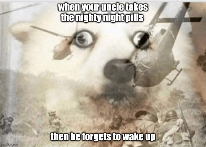 PTSD dog | when your uncle takes the nighty night pills; then he forgets to wake up | image tagged in ptsd dog | made w/ Imgflip meme maker