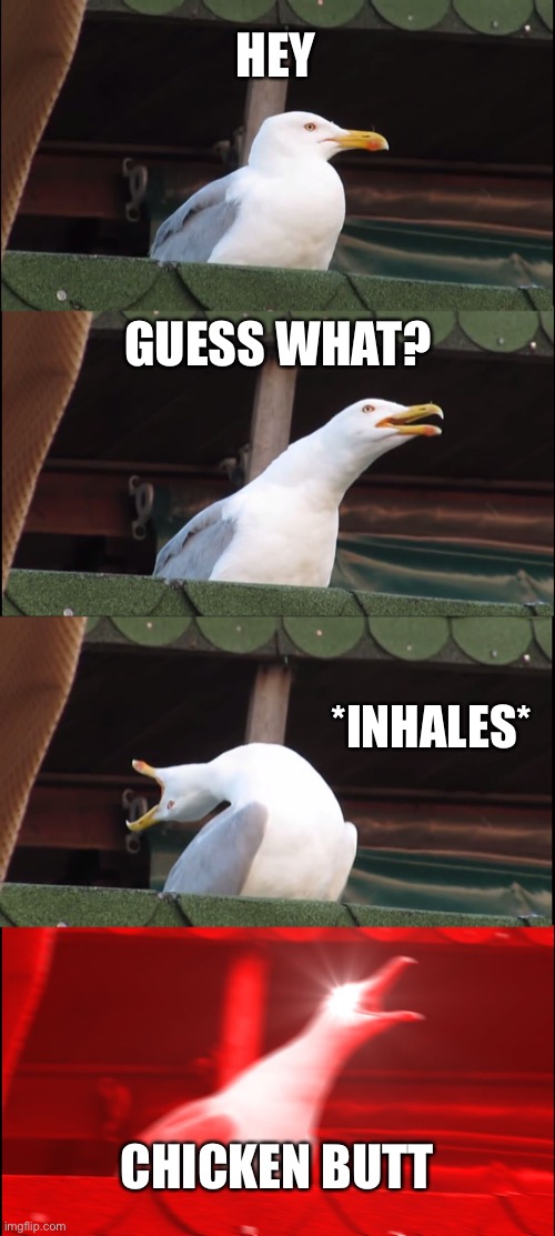 Gottem | HEY; GUESS WHAT? *INHALES*; CHICKEN BUTT | image tagged in memes,inhaling seagull | made w/ Imgflip meme maker