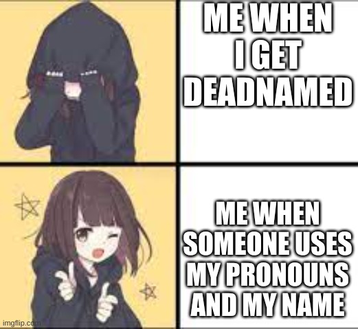 ME WHEN I GET DEADNAMED; ME WHEN SOMEONE USES MY PRONOUNS AND MY NAME | image tagged in imgflip users | made w/ Imgflip meme maker