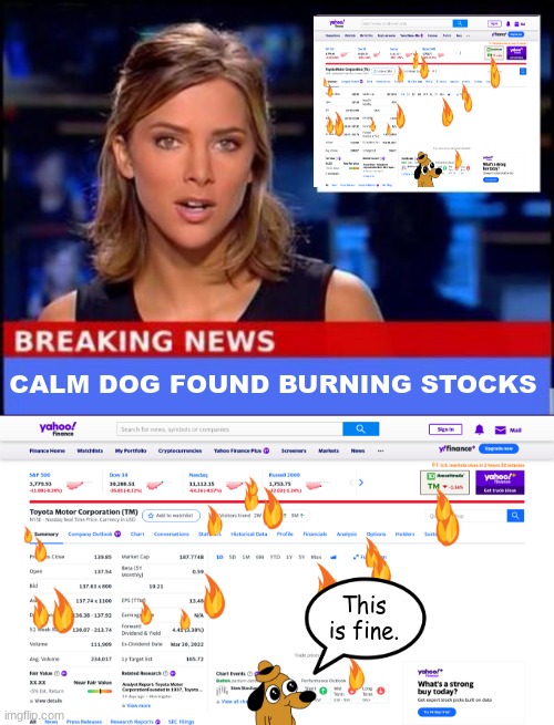 This is most definitely NOT FINE!!! | CALM DOG FOUND BURNING STOCKS; This is fine. | image tagged in breaking news,this is fine dog | made w/ Imgflip meme maker