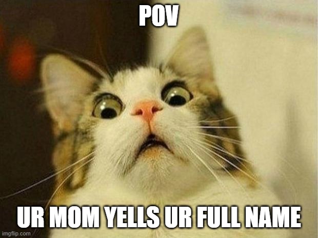 Scared Cat Meme | POV; UR MOM YELLS UR FULL NAME | image tagged in memes,scared cat | made w/ Imgflip meme maker