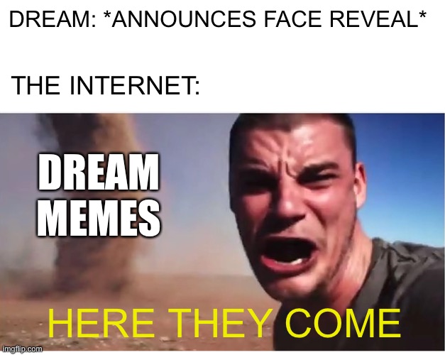 Here They Come | DREAM: *ANNOUNCES FACE REVEAL*; THE INTERNET:; DREAM MEMES; HERE THEY COME | image tagged in look here they come,memes,dream | made w/ Imgflip meme maker