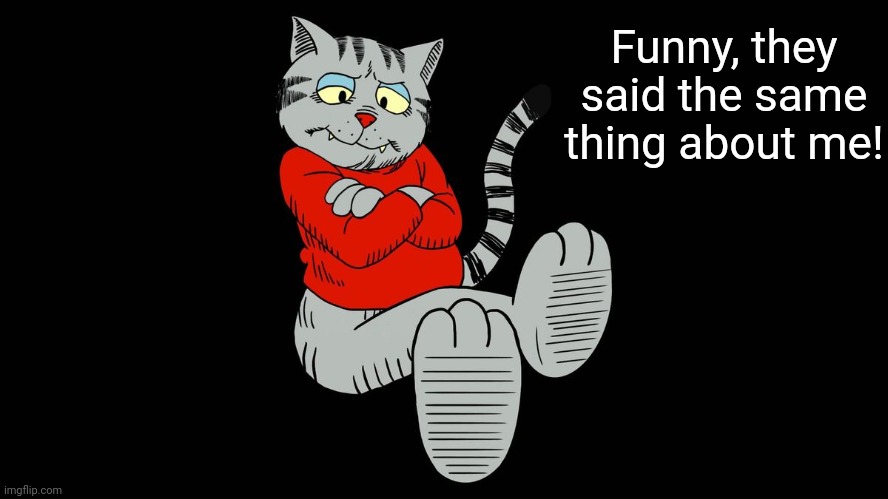 Fritz the cat | Funny, they said the same thing about me! | image tagged in fritz the cat | made w/ Imgflip meme maker