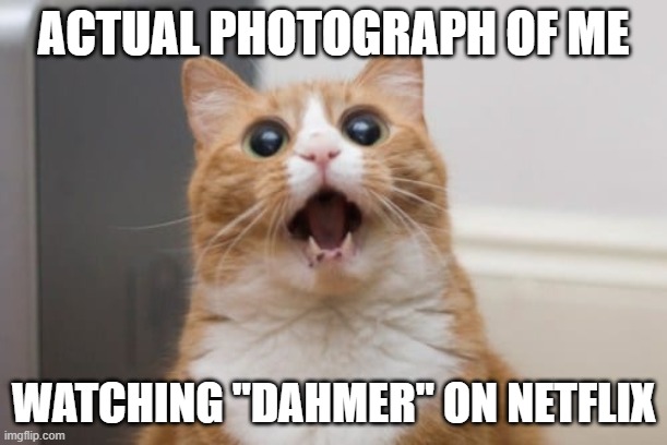 Shocked Cat | ACTUAL PHOTOGRAPH OF ME; WATCHING "DAHMER" ON NETFLIX | image tagged in dahmer,netflix | made w/ Imgflip meme maker