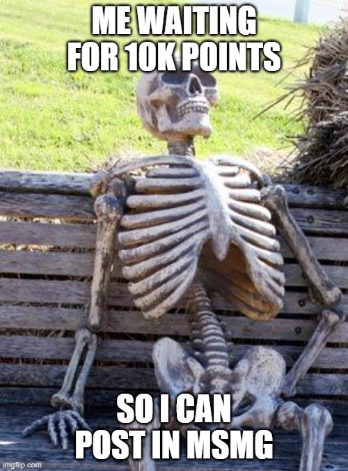 :skull: | ME WAITING FOR 10K POINTS; SO I CAN POST IN MSMG | image tagged in memes,waiting skeleton | made w/ Imgflip meme maker