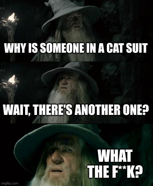 POV: you're average joe outside a furry convention | WHY IS SOMEONE IN A CAT SUIT; WAIT, THERE'S ANOTHER ONE? WHAT THE F**K? | image tagged in memes,confused gandalf | made w/ Imgflip meme maker