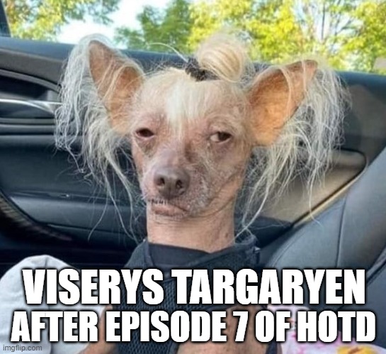 Viserys after Episode 7 of House of the Dragon | AFTER EPISODE 7 OF HOTD; VISERYS TARGARYEN | image tagged in fried dog | made w/ Imgflip meme maker