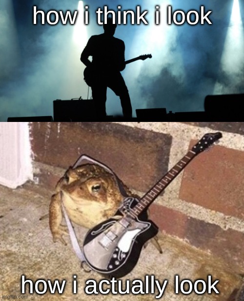 Im not wrong | how i think i look; how i actually look | image tagged in rock star on stage,toad,memes,fun,funny,no context | made w/ Imgflip meme maker