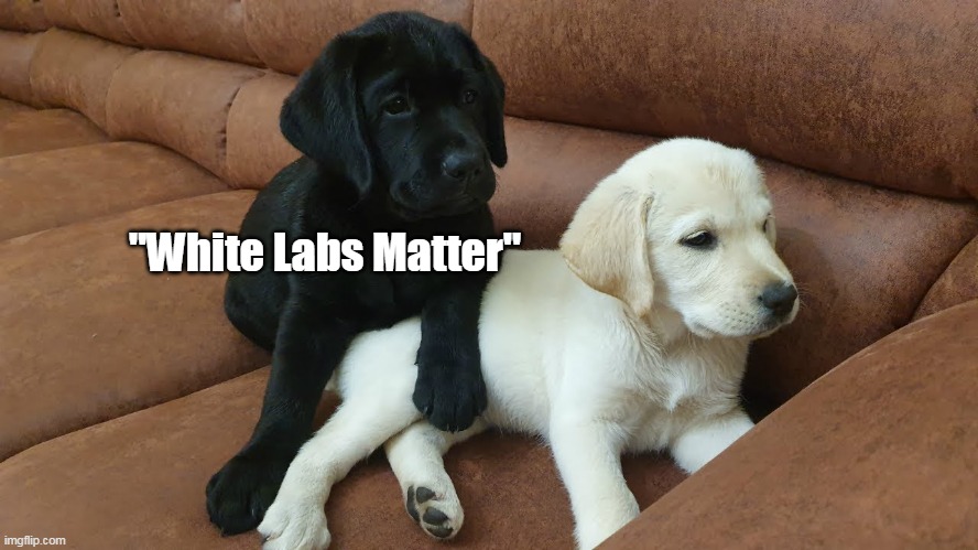 "White Labs Matter" | made w/ Imgflip meme maker