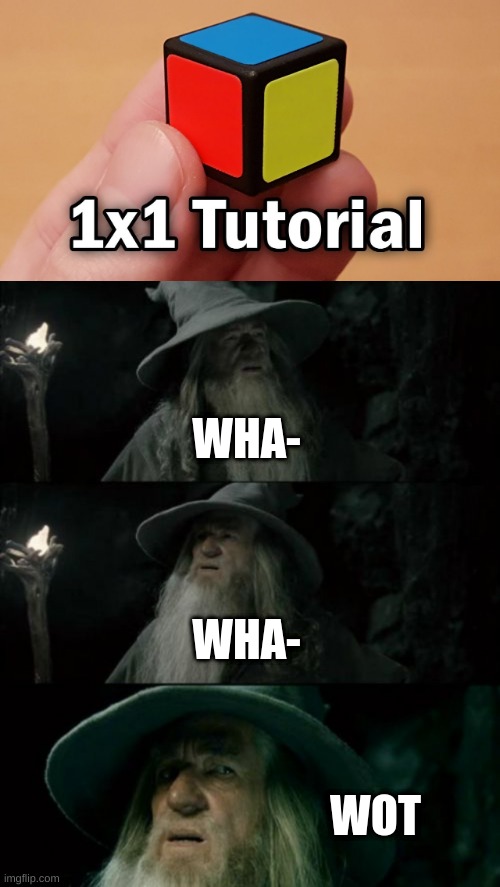 1x1 | WHA-; WHA-; WOT | image tagged in memes,confused gandalf | made w/ Imgflip meme maker