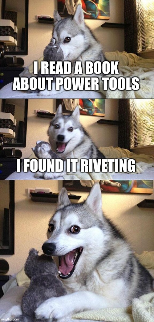 The ultimate bad pun. | I READ A BOOK ABOUT POWER TOOLS; I FOUND IT RIVETING | image tagged in memes,bad pun dog | made w/ Imgflip meme maker