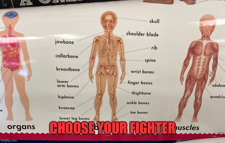 Choose your fighter | CHOOSE YOUR FIGHTER | image tagged in choose your fighter | made w/ Imgflip meme maker