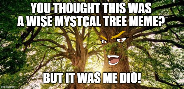 YOU THOUGHT THIS WAS A WISE MYSTCAL TREE MEME? BUT IT WAS ME DIO! | image tagged in blank white template,kono dio da | made w/ Imgflip meme maker
