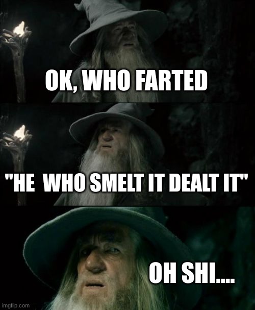 *Sniff Sniff* | OK, WHO FARTED; "HE  WHO SMELT IT DEALT IT"; OH SHI.... | image tagged in memes,confused gandalf,funny | made w/ Imgflip meme maker
