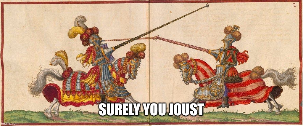 Joust | SURELY YOU JOUST | image tagged in joust | made w/ Imgflip meme maker