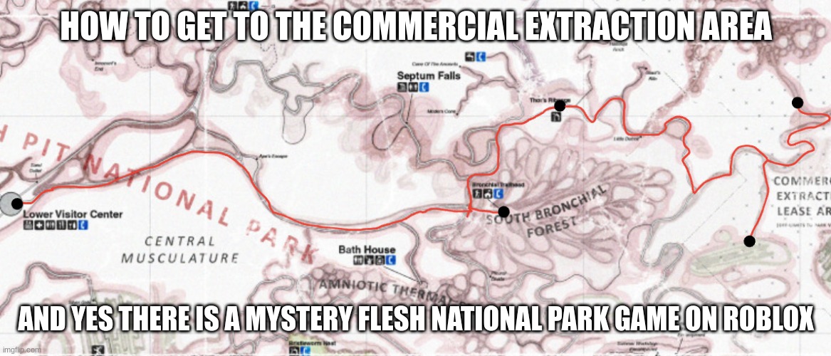 How to get to the commercial lease extraction area | HOW TO GET TO THE COMMERCIAL EXTRACTION AREA; AND YES THERE IS A MYSTERY FLESH NATIONAL PARK GAME ON ROBLOX | image tagged in roblox,gaming,mystery flesh pit national park | made w/ Imgflip meme maker