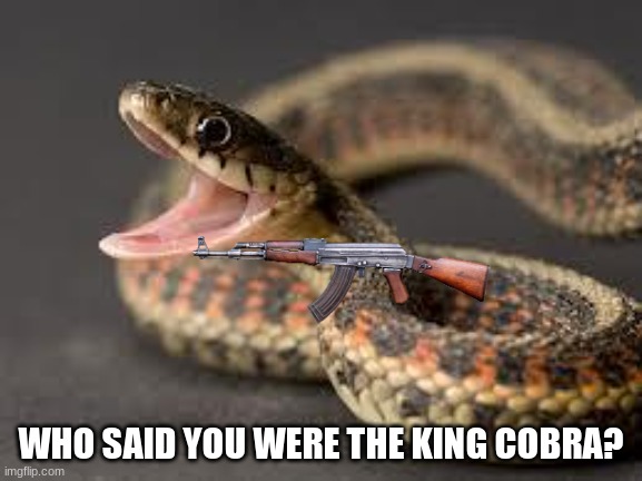 Warning Snake | WHO SAID YOU WERE THE KING COBRA? | image tagged in warning snake | made w/ Imgflip meme maker