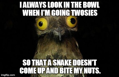 Weird Stuff I Do Potoo Meme | I ALWAYS LOOK IN THE BOWL WHEN I'M GOING TWOSIES SO THAT A SNAKE DOESN'T COME UP AND BITE MY NUTS. | image tagged in memes,weird stuff i do potoo,AdviceAnimals | made w/ Imgflip meme maker