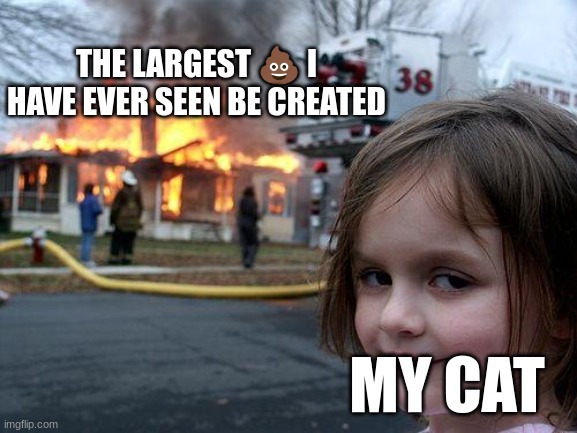 Disaster Girl | THE LARGEST 💩 I HAVE EVER SEEN BE CREATED; MY CAT | image tagged in memes,disaster girl | made w/ Imgflip meme maker