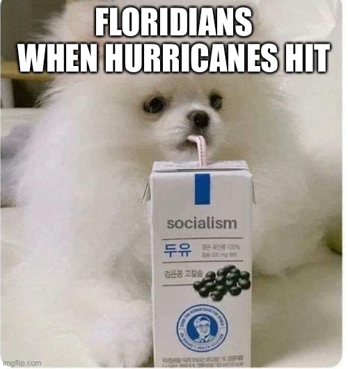 Ron DeSantis A Socialist Now? Hurricane Ian Aid Plea to President Joe Biden. | FLORIDIANS WHEN HURRICANES HIT | image tagged in socialism,florida,ron desantis,hurricane ian,bigot,republicans | made w/ Imgflip meme maker