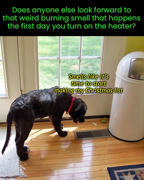 I Heart Fall Weather | Does anyone else look forward to that weird burning smell that happens the first day you turn on the heater? Smells like it’s time to start
making my Christmas list | image tagged in funny memes,autumn,seasons | made w/ Imgflip meme maker