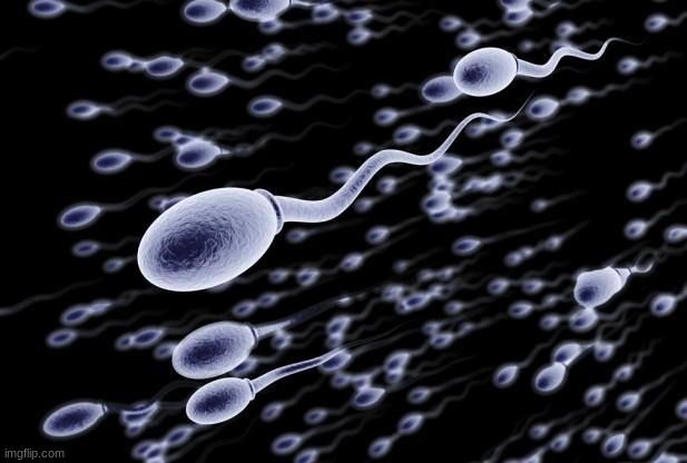 sperm swimming | image tagged in sperm swimming | made w/ Imgflip meme maker