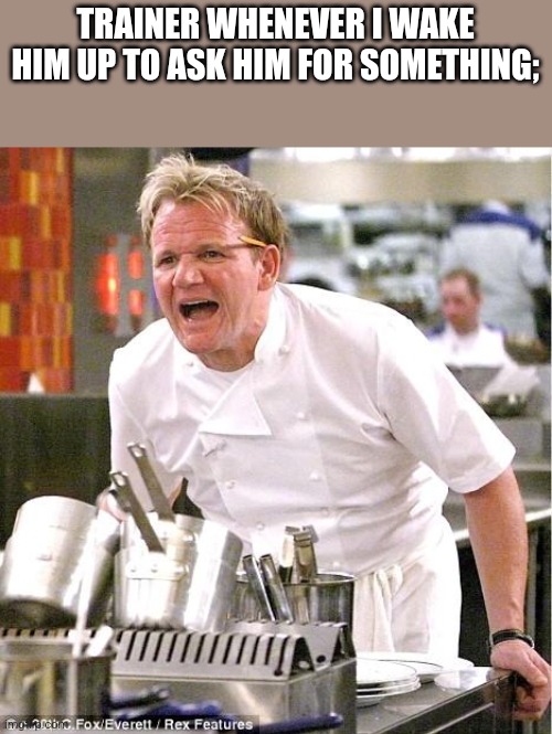 Chef Gordon Ramsay Meme | TRAINER WHENEVER I WAKE HIM UP TO ASK HIM FOR SOMETHING; | image tagged in memes,chef gordon ramsay | made w/ Imgflip meme maker