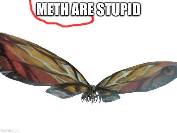 METH ARE STUPID | made w/ Imgflip meme maker