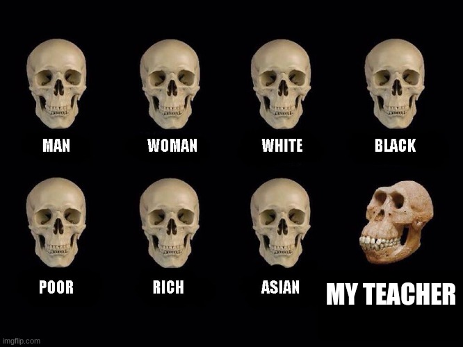 so true | MY TEACHER | image tagged in empty skulls of truth | made w/ Imgflip meme maker