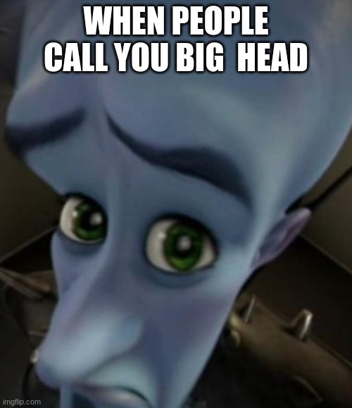 Sad Megamind | WHEN PEOPLE CALL YOU BIG  HEAD | image tagged in sad megamind | made w/ Imgflip meme maker