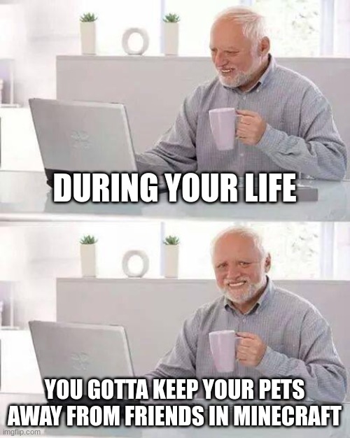 my friend: walks in my minecraft house. Him: Looks like a good place for his last place | DURING YOUR LIFE; YOU GOTTA KEEP YOUR PETS AWAY FROM FRIENDS IN MINECRAFT | image tagged in memes,hide the pain harold | made w/ Imgflip meme maker