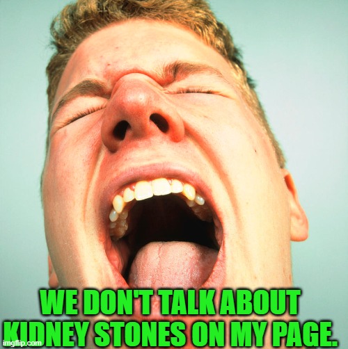 WE DON'T TALK ABOUT KIDNEY STONES ON MY PAGE. | made w/ Imgflip meme maker