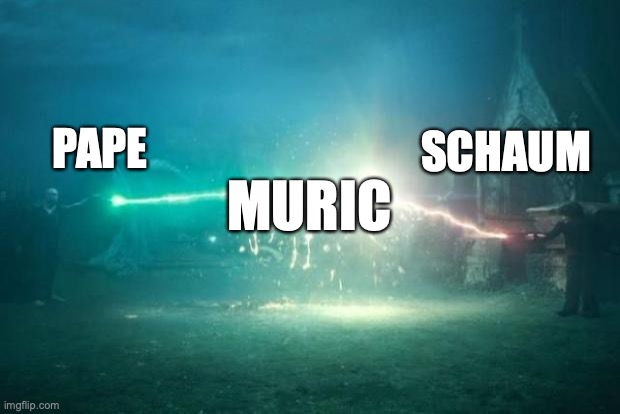 Harry Potter Voldemort Duel | SCHAUM; PAPE; MURIC | image tagged in harry potter voldemort duel | made w/ Imgflip meme maker