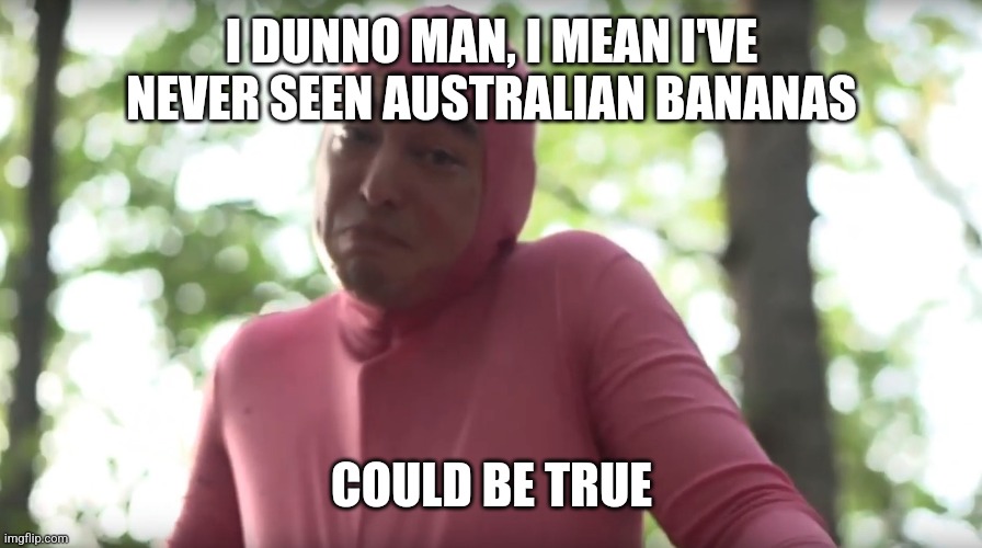 seems kinda gay template | I DUNNO MAN, I MEAN I'VE NEVER SEEN AUSTRALIAN BANANAS COULD BE TRUE | image tagged in seems kinda gay template | made w/ Imgflip meme maker