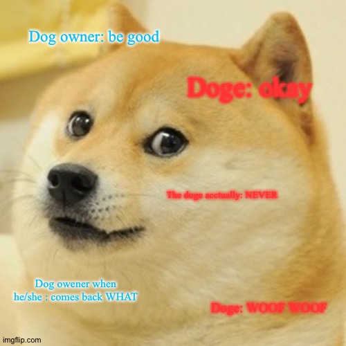 Doge | Dog owner: be good; Doge: okay; The doge acctually: NEVER; Dog owener when he/she : comes back WHAT; Doge: WOOF WOOF | image tagged in memes,doge | made w/ Imgflip meme maker