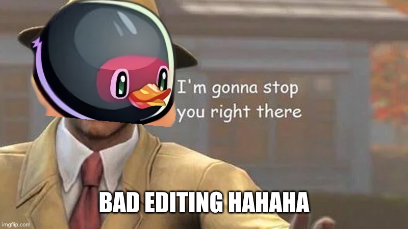 I'm gonna stop you right there | BAD EDITING HAHAHA | image tagged in i'm gonna stop you right there | made w/ Imgflip meme maker
