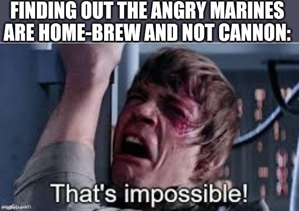 YOU CANT DO THIS TO ME | FINDING OUT THE ANGRY MARINES ARE HOME-BREW AND NOT CANNON: | image tagged in that's impossible pre-added text | made w/ Imgflip meme maker