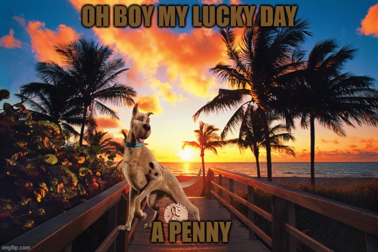 scooby's lucky day | OH BOY MY LUCKY DAY; A PENNY | image tagged in tropical beach sunrise,warner bros,dogs,penny | made w/ Imgflip meme maker