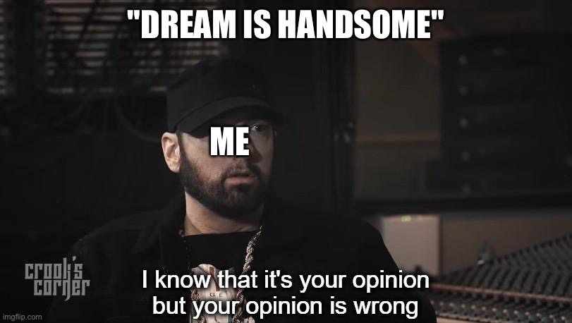 I know that it's your opinion, but your opinion is wrong | "DREAM IS HANDSOME"; ME | image tagged in i know that it's your opinion but your opinion is wrong | made w/ Imgflip meme maker