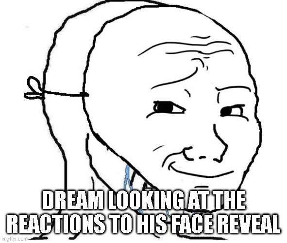 DREAM LOOKING AT THE REACTIONS TO HIS FACE REVEAL | image tagged in dream smp,dream,minecraft | made w/ Imgflip meme maker