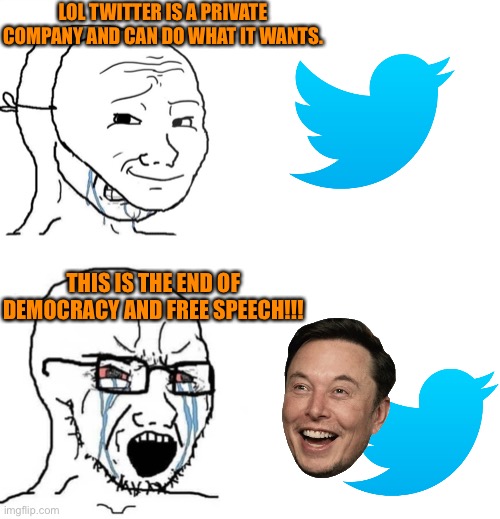 I’m being a meany face bigot… again. | LOL TWITTER IS A PRIVATE COMPANY AND CAN DO WHAT IT WANTS. THIS IS THE END OF DEMOCRACY AND FREE SPEECH!!! | image tagged in crying wojak mask,memes,blank transparent square,soyboy vs yes chad | made w/ Imgflip meme maker