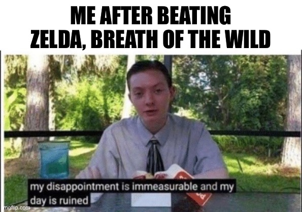 My dissapointment is immeasurable and my day is ruined | ME AFTER BEATING ZELDA, BREATH OF THE WILD | image tagged in my dissapointment is immeasurable and my day is ruined | made w/ Imgflip meme maker