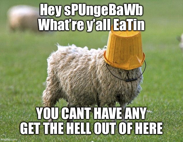 stupid sheep | Hey sPUngeBaWb What’re y’all EaTin YOU CANT HAVE ANY GET THE HELL OUT OF HERE | image tagged in stupid sheep | made w/ Imgflip meme maker