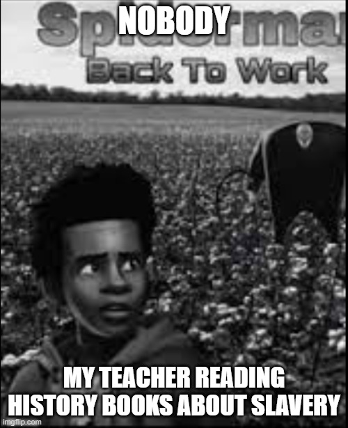 My teacher is a menace | NOBODY; MY TEACHER READING HISTORY BOOKS ABOUT SLAVERY | image tagged in memes | made w/ Imgflip meme maker