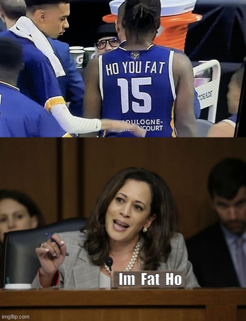 Know your Chinese names | Im  Fat  Ho | image tagged in ho you fat,kamala harris,camel toe,hoe,democrats,bj harris | made w/ Imgflip meme maker